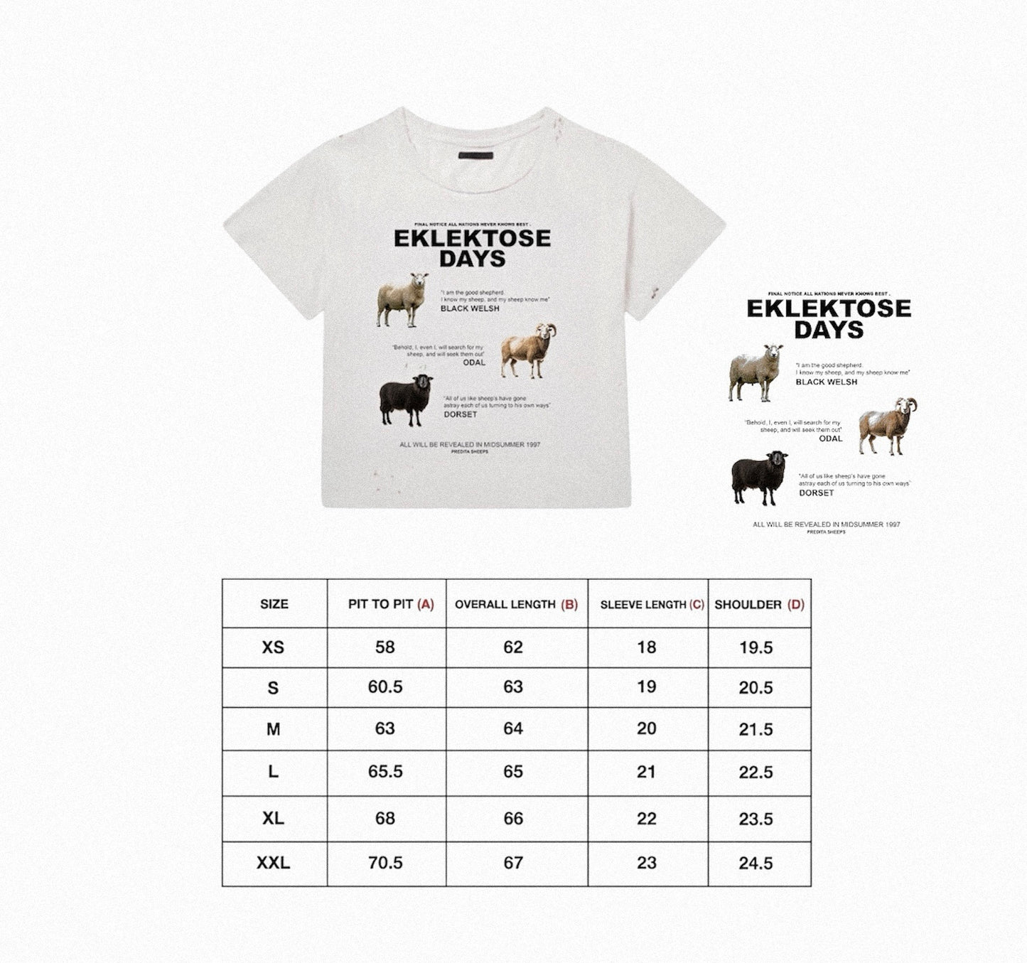 SCRIPTURE T-SHIRT (white)