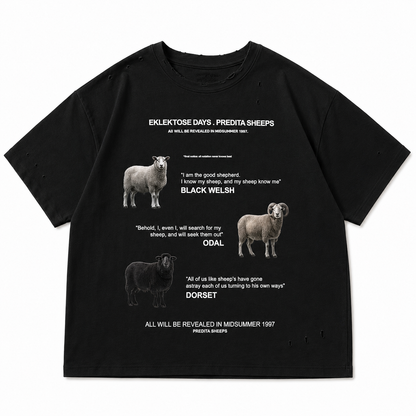 SCRIPTURE T-SHIRT (black)