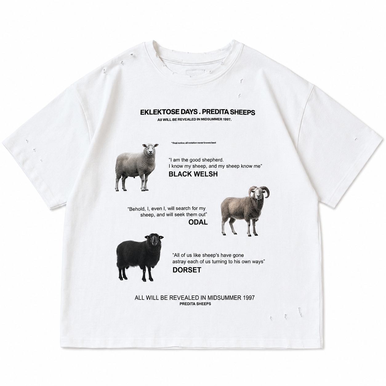 SCRIPTURE T-SHIRT (white)
