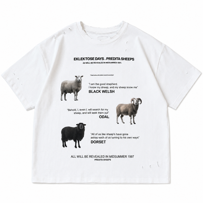 SCRIPTURE T-SHIRT (white)