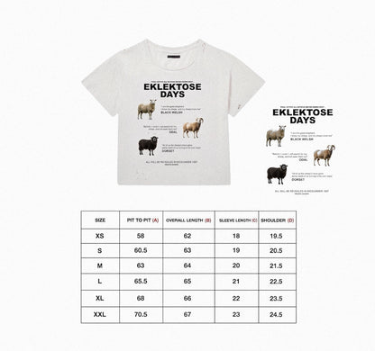 SCRIPTURE T-SHIRT (white)